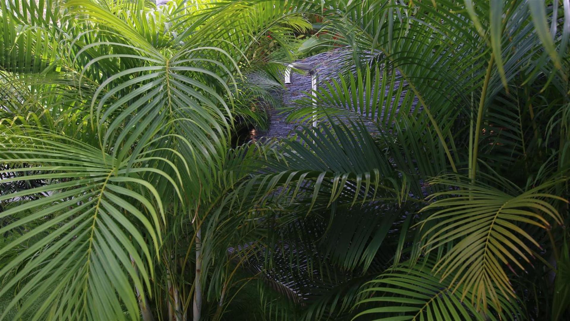 Architecture Jewel Set On A Hillside Vila St. Barthelemy Exterior foto